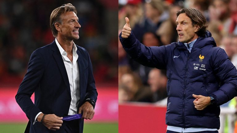 France announce successor to Herve Renard as former women's national team boss is linked with fifth job in Africa