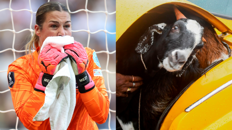 Is Mary Earps allergic to goats?! PSG & Lionesses goalkeeper reveals ‘strangest text’ as soaring profile leads to odd requests