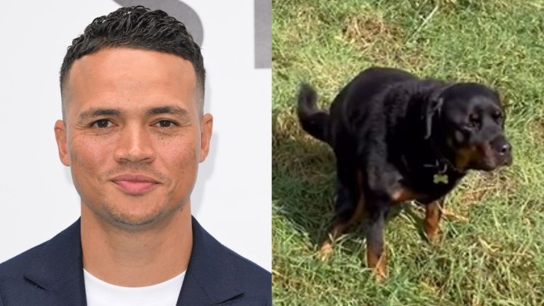 'Decides to take a sh*t' – Jermaine Jenas' dog ruins his social media return speech as axed BBC presenter discusses 'difficult period' & teases 'exciting' new project