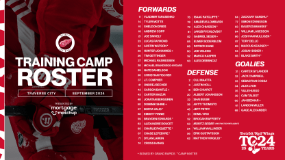 Red Wings release 2024 training camp roster and schedule