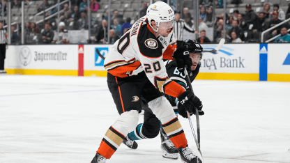 Preview: Ducks Open 2024 Preseason Tonight in San Jose