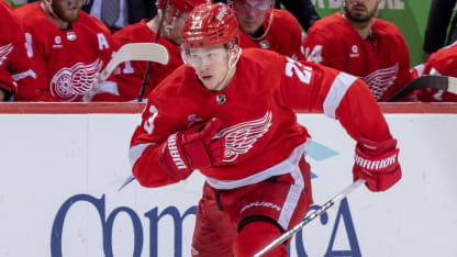 Raymond signs 8-year, $64.6 million contract with Red Wings